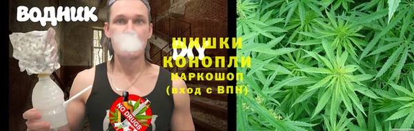 СК Алексин