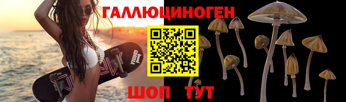 Псилоцибиновые грибы ЛСД  Вход с VPN  Большой Камень  наркота  Псилоцибиновые грибы Cubensis 