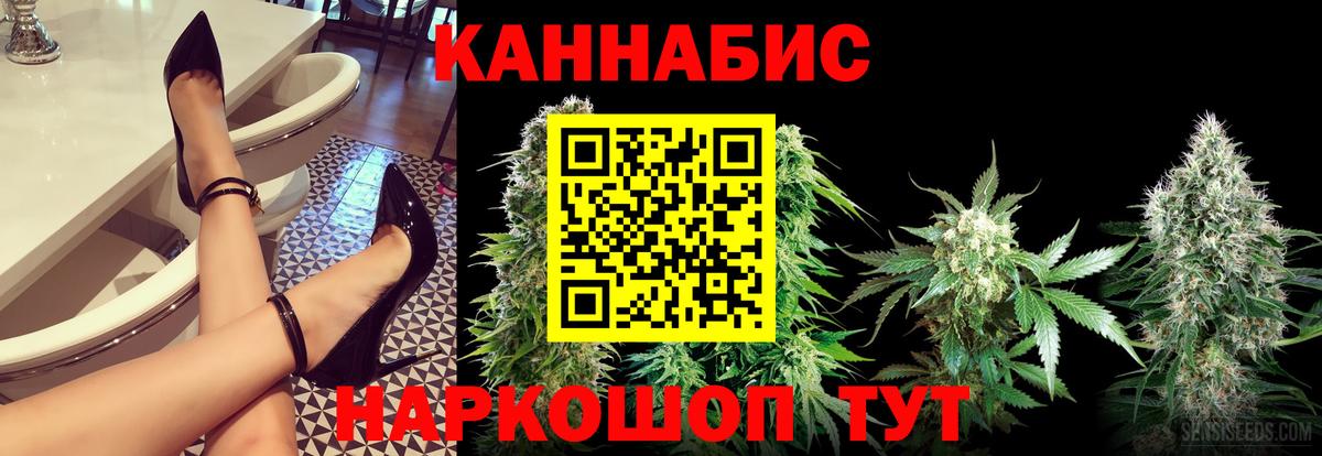Канабис планчик Большой Камень
